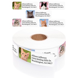Labels by Color