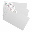 Just Moved Designer Rolled Address Labels