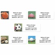 All Sport Designer Rolled Address Label Assortment