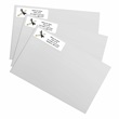Congrats Grad Designer Rolled Address Labels