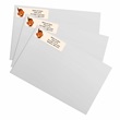 Bountiful Autumn Designer Rolled Address Labels