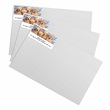 Golden Retriever Puppy Sheeted Address Labels