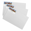 Wild Horses Sheeted Address Labels
