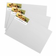 Cherub Sheeted Address Labels