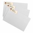 Collie Pet Breed Address Labels