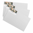 Cat Nap Sheeted Address Labels