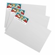 Snow Family Portrait Sheeted Address Labels