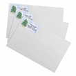 Winter Watercolor Sheeted Address Labels
