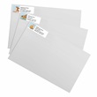 Equine Sheeted Address Label Assortment