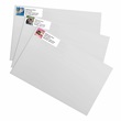 Kitty Kapers Sheeted Address Label Assortment