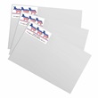 Democrat Sheeted Address Labels