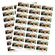 Yorkie On Bench Sheeted Address Labels