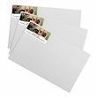 Yorkie On Bench Sheeted Address Labels