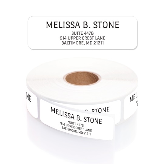 Personalized White With Black Print Modern Name & Address Labels with  Elegant Plastic Dispenser