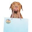 Personalized Round Puppy Let's Pawty Sheeted Stickers