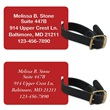 Premium Plastic Luggage And Bag Tags