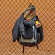 Personalized Softball Graphic Double Sided Plastic Luggage & Bag Tag