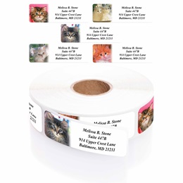 Photo Kitties Designer Rolled Address Label Assortment