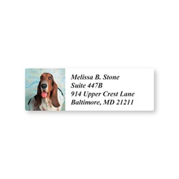 Basset Hound Sheeted Address Labels