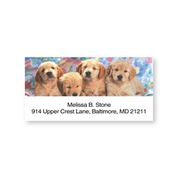 Golden Retriever Puppy Sheeted Address Labels