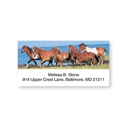 Wild Horses Sheeted Address Labels