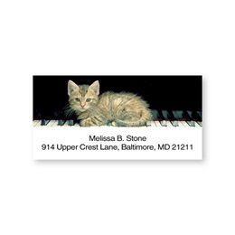 Kitten Keys Sheeted Address Labels