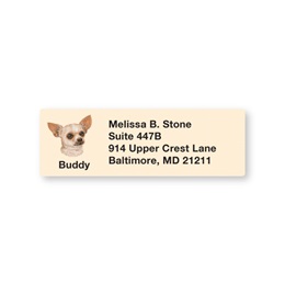 Chihuahua Pet Breed Address Labels
