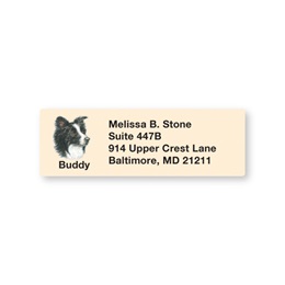 Border Collie Pet Breed Address Labels