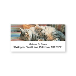 Cat Nap Sheeted Address Labels