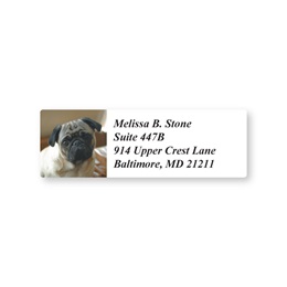Pug Sheeted Address Labels