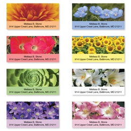 Natures Colors Sheeted Address Label Assortment