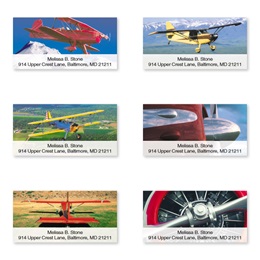 Winging It Sheeted Address Label Assortment