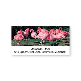 Flamingo Sheeted Address Labels