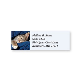 Purr Fect Sheeted Address Labels