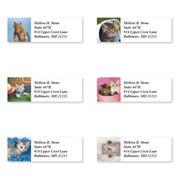 Kitty Kapers Sheeted Address Label Assortment