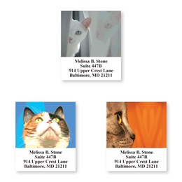 Faces Of Cats Sheeted Address Label Assortment