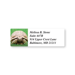 Turtle Sheeted Address Labels