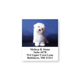 Maltese Sheeted Address Labels