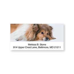 Sheltie Sheeted Address Labels