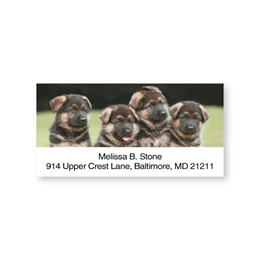 German Shepherd Pups Sheeted Address Labels