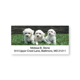 Bichon Sheeted Address Labels