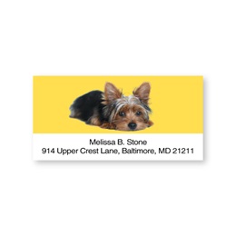 Yorkie Sheeted Address Labels