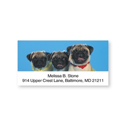 Pug Sheeted Address Labels