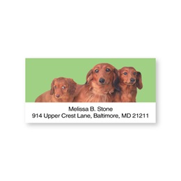 Dachshund Sheeted Address Labels