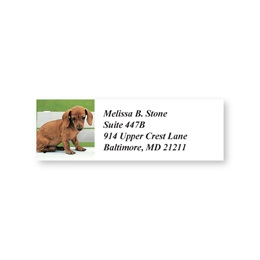 Dachshund Canine Sheeted Address Labels