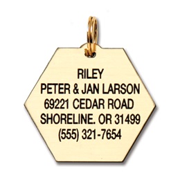 Hexagon Plastic Pet Tag