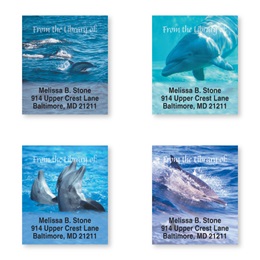Dolphins At Play Bookplate Assortment