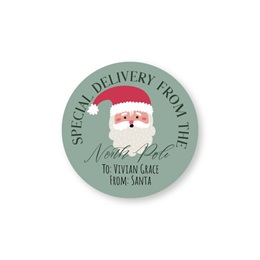Round Special Delivery from Santa Christmas Sheeted Gift Tag Labels