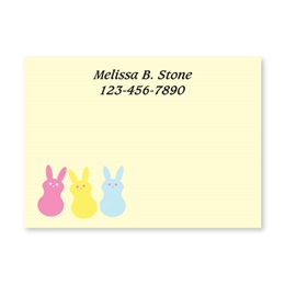 Sweet Bunny Buddies Personalized 4X3 Post It Notes